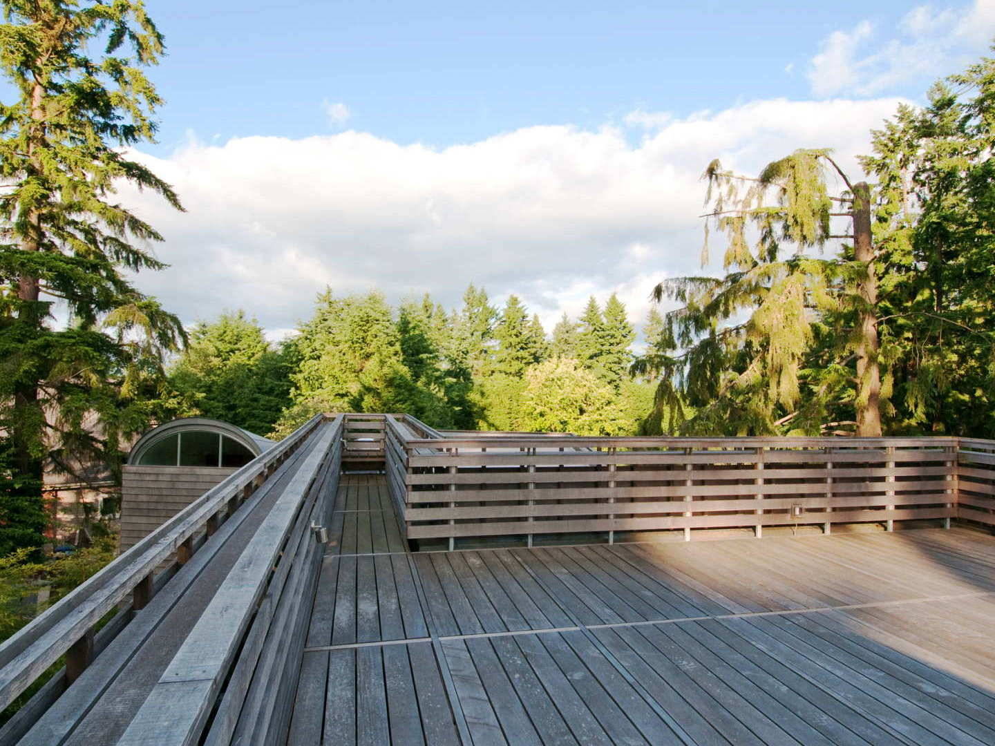 Longhouse - roof deck