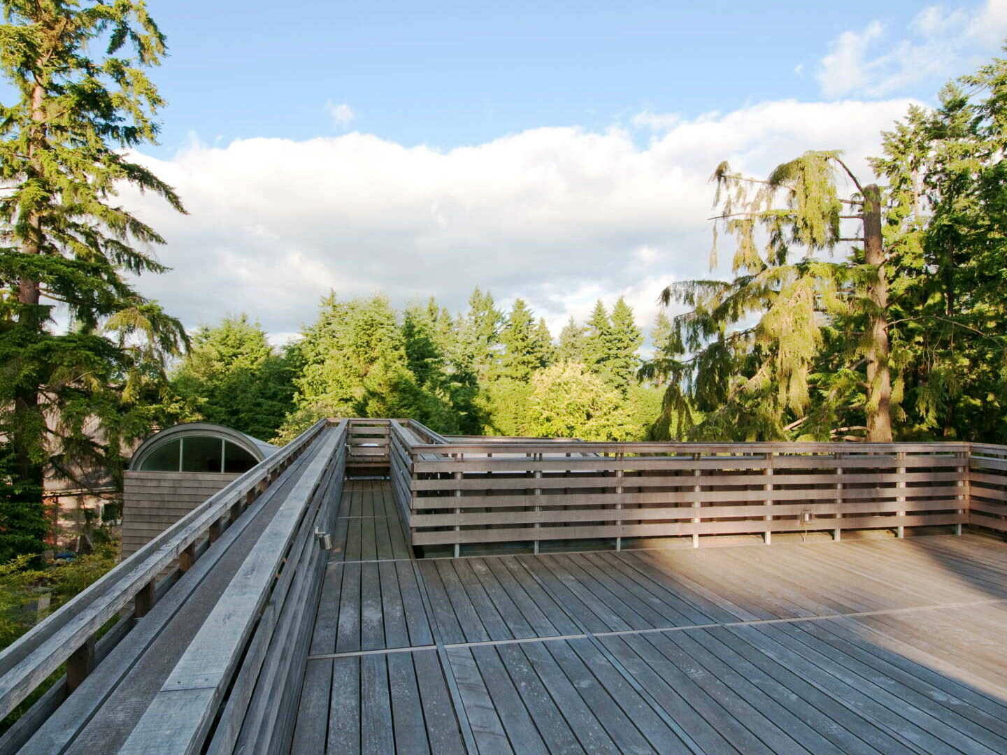 Longhouse - roof deck
