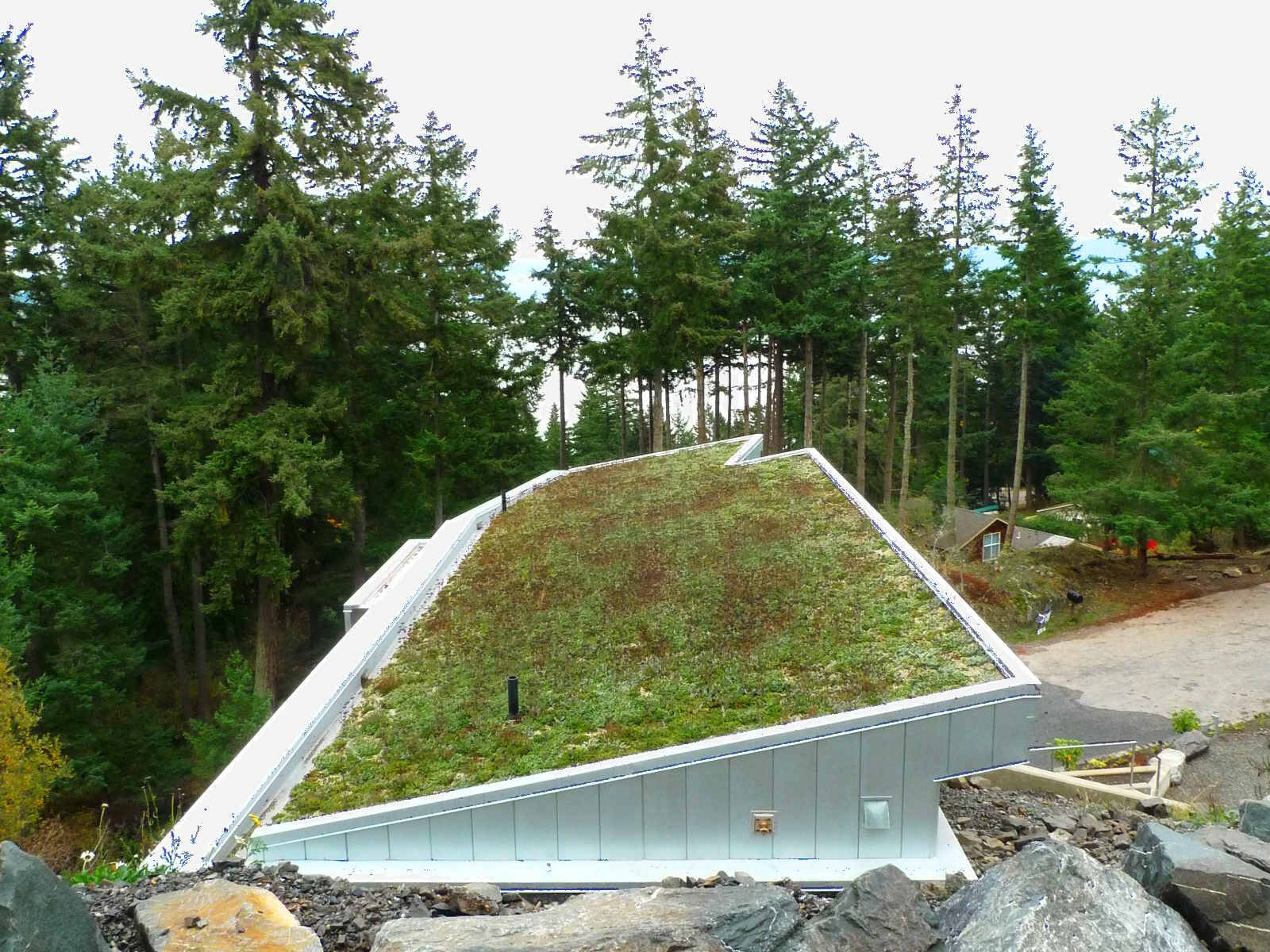 Hillside House - green roof