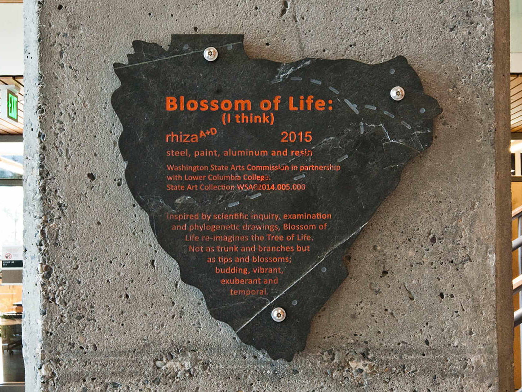Blossom of Life (I Think)- Slate Plaque