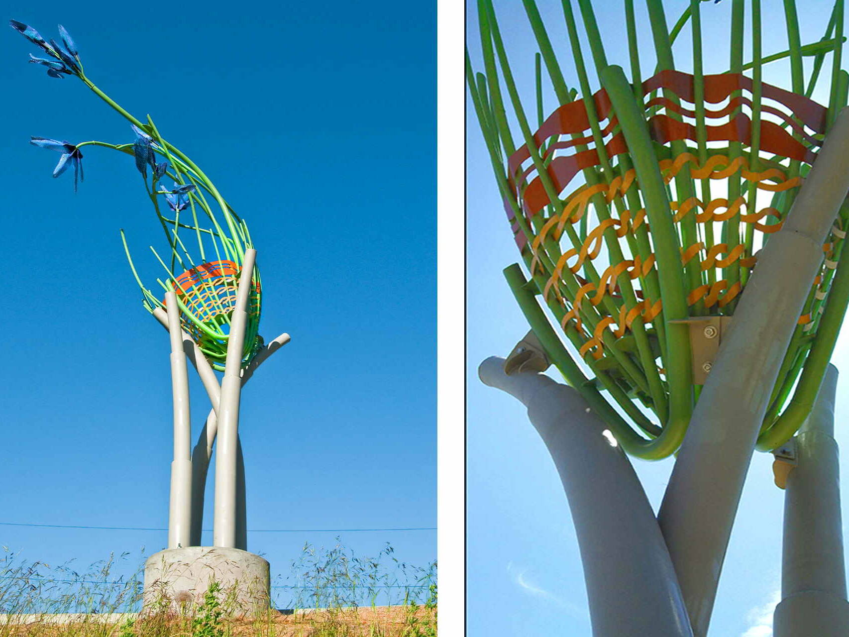 Camas Basket- (L) view from Alton Baker Park (R) detail of weaving