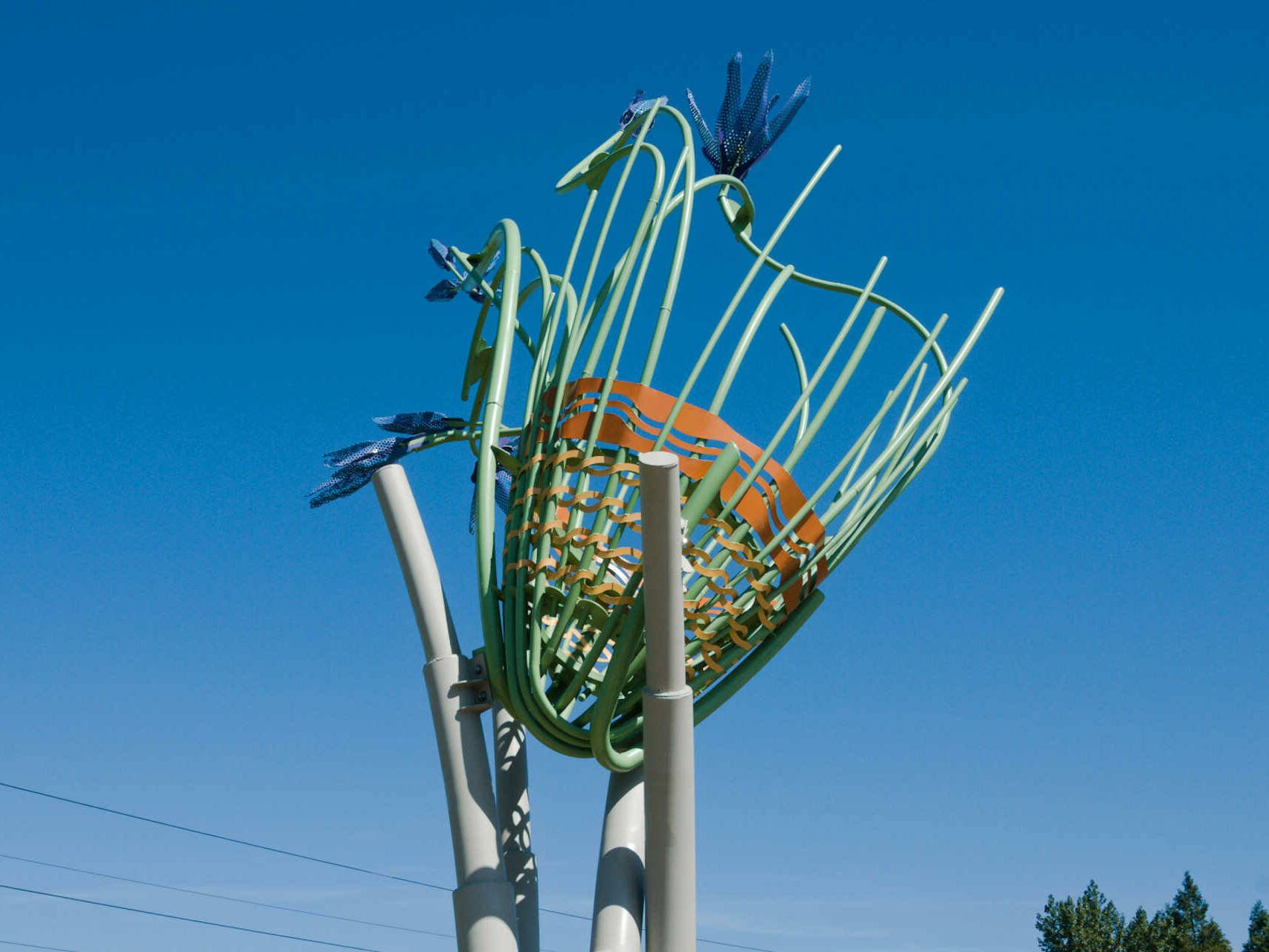 Camas Basket - detail looking up at basket