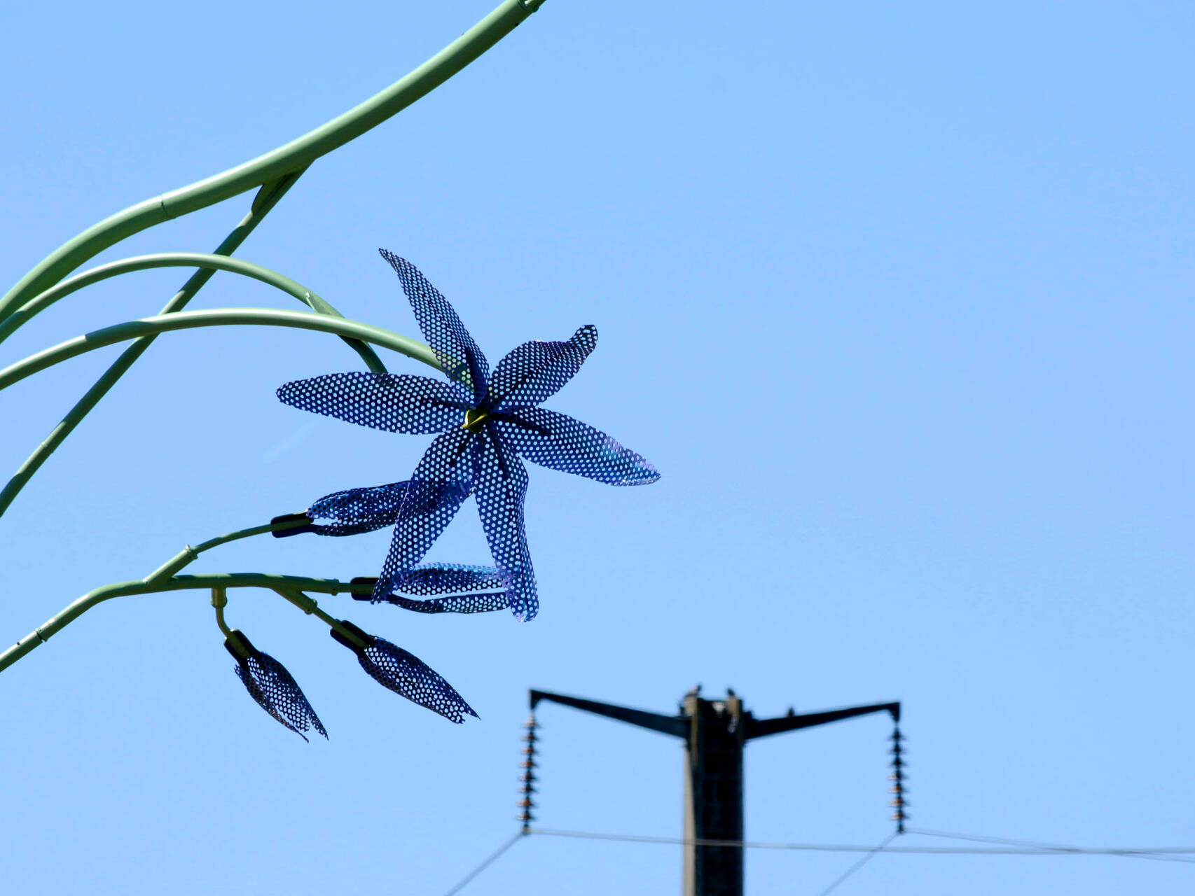 Camas Basket-detail
