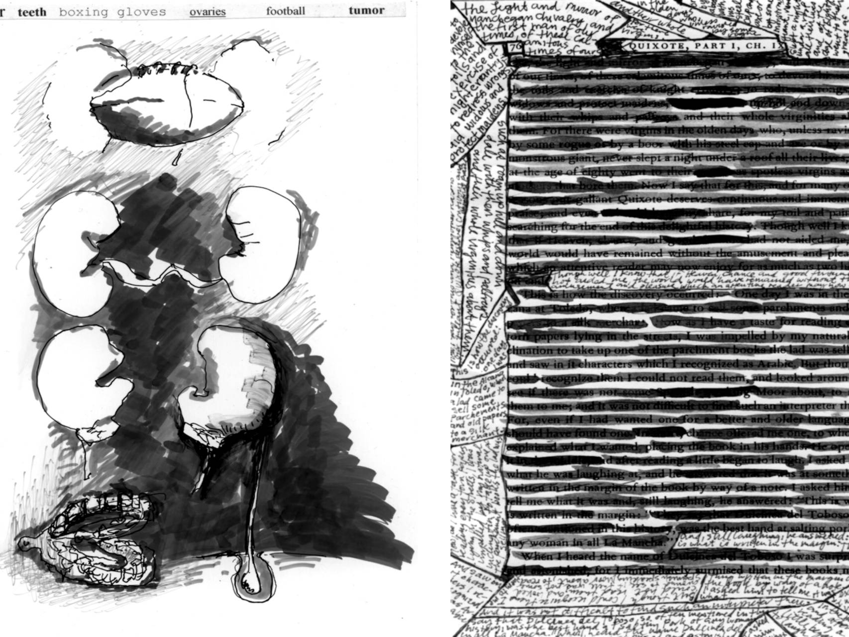 Pierre Menards Quixotic Drawings