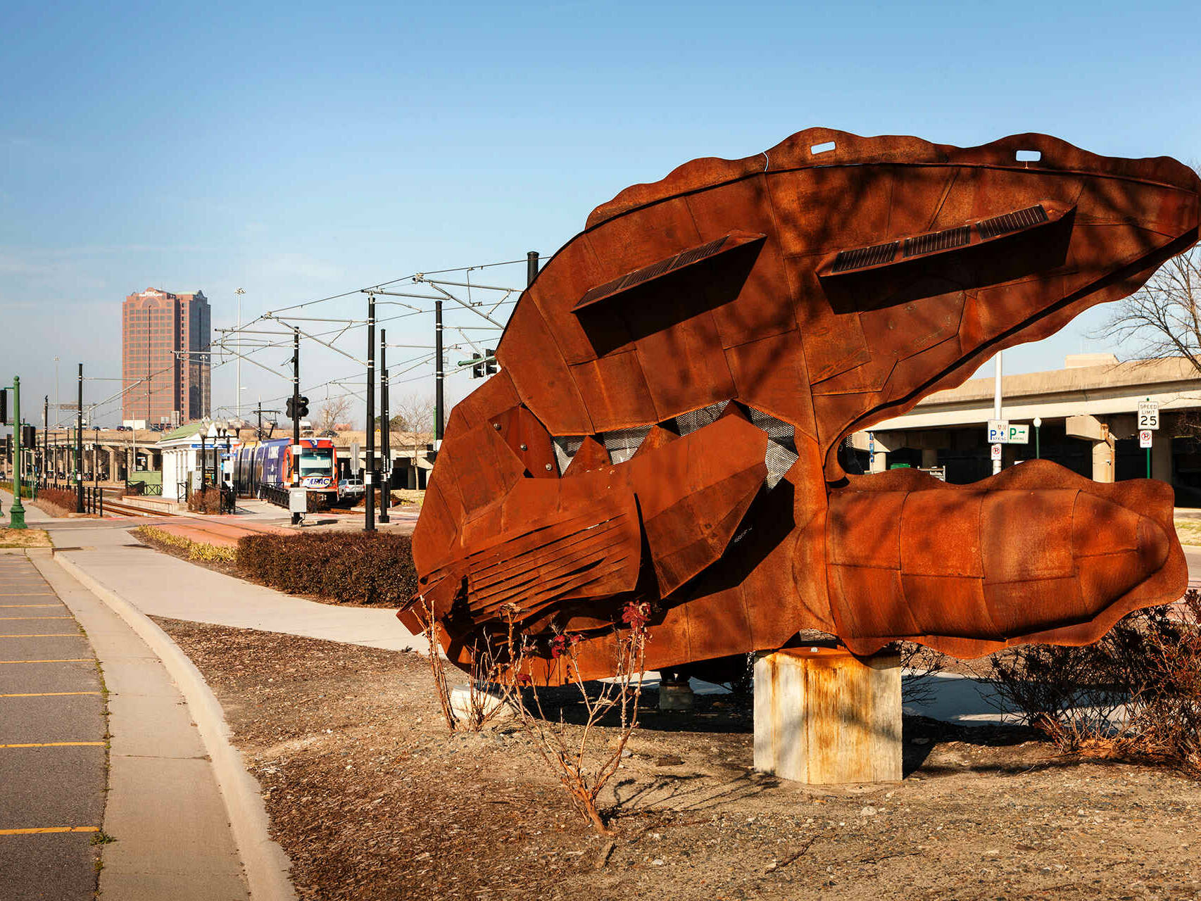 Harboring Histories Series- Shipshell
