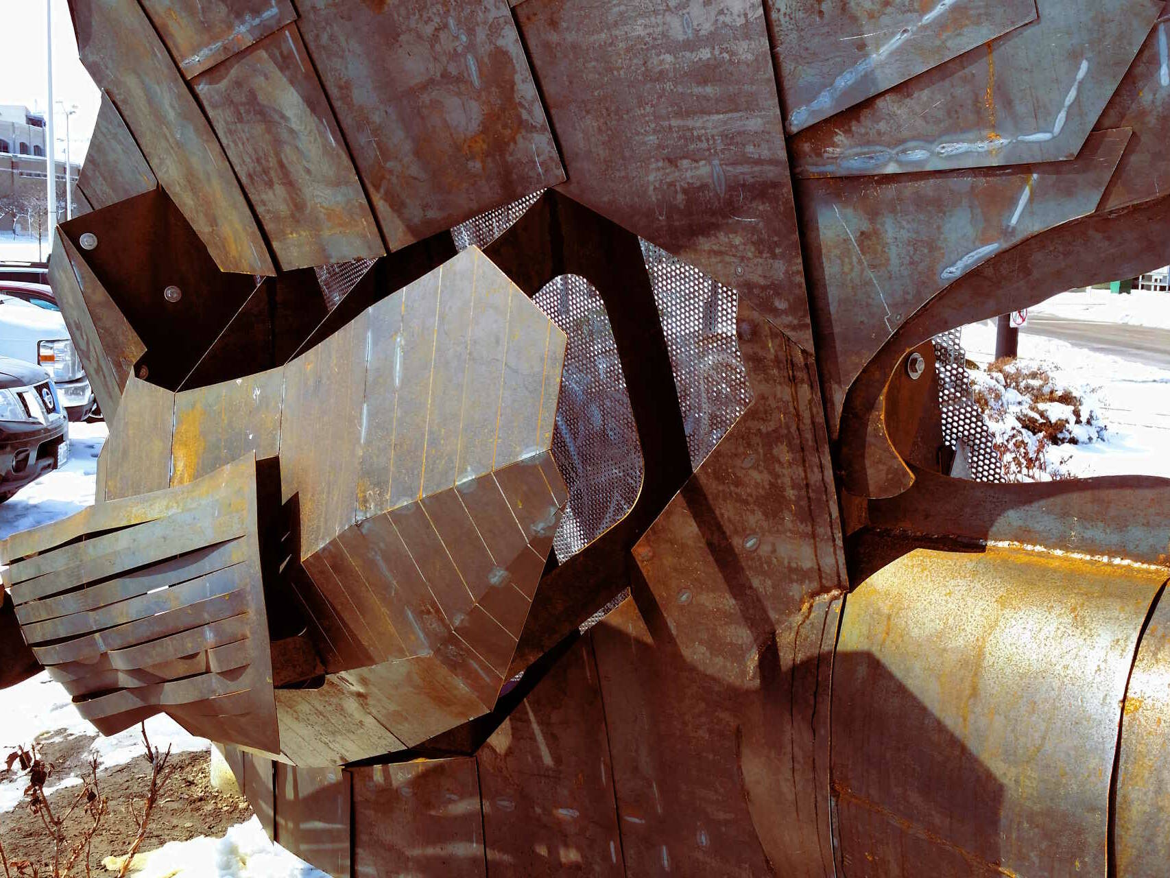 Harboring Histories Series- Shipshell detail