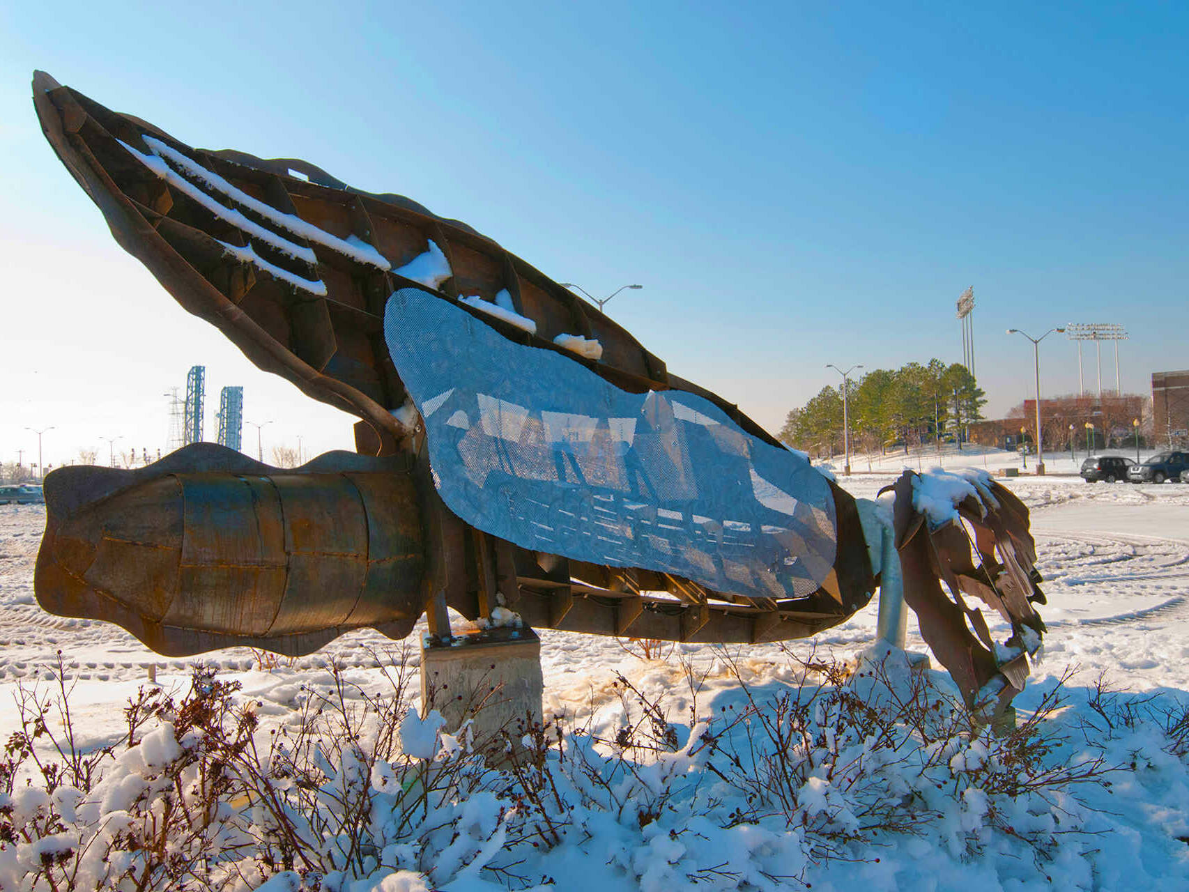 Harboring Histories Series- Shipshell